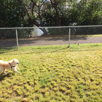 Ala Wai Dog Park photo 1